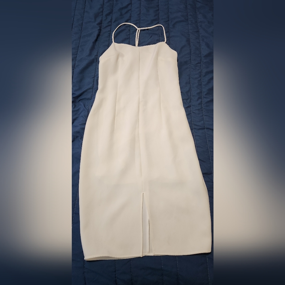 Express Ivory Body Contour Dress